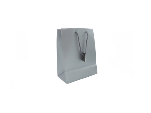 Silver GIft Bag (Large)