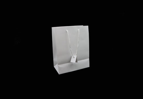 White Gift Bag (Large)